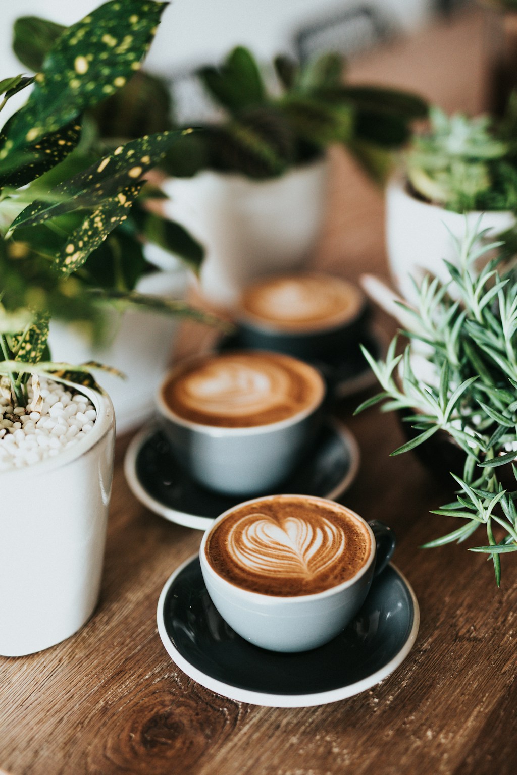 Controller Latte
